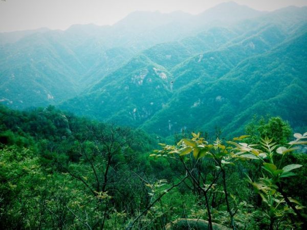 鋁蜂窩板可以在地下室裝修么